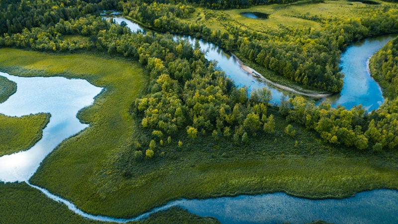 Ambiental: Compromisso com a Sustentabilidade image