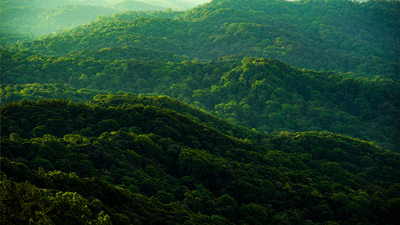 Protegendo o Meio Ambiente Através de Soluções Eficientes e Operações Responsáveis Image